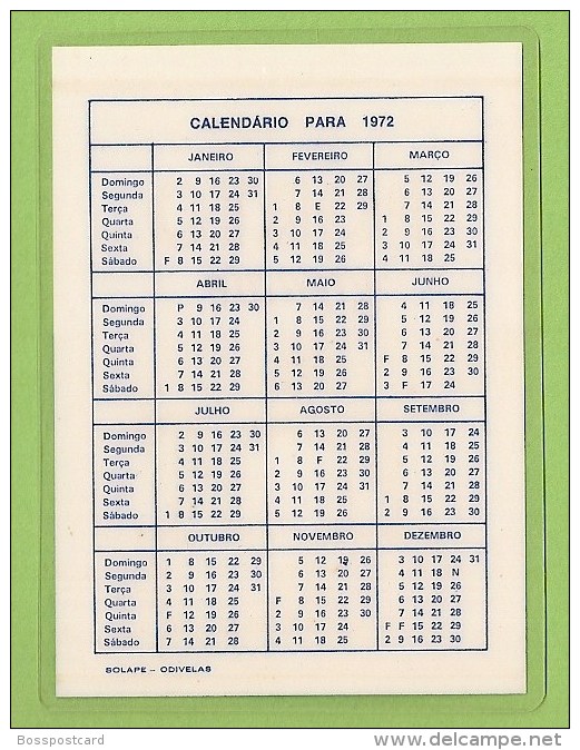 Porto - Calendário De 1972 Do Tabaco Porto Gigante - Publicidade - Portugal - Calendar - Calendrier - Grand Format : 1971-80