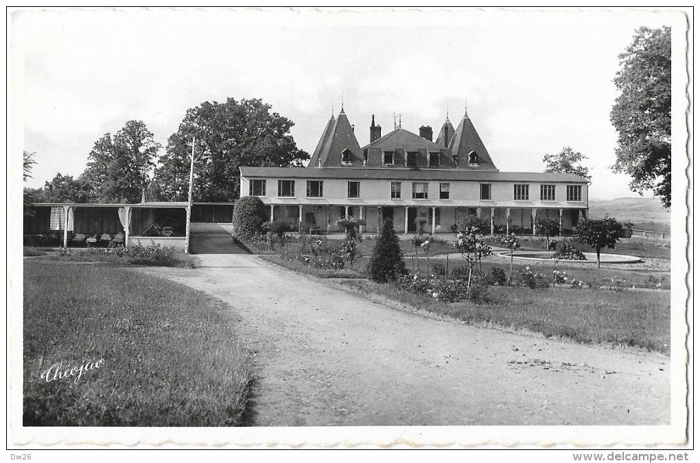 Château-la-Forêt (Haute-Vienne) - Sanatorium De Bellegarde-les-Fleurs - Cure De Repos - Edition La Cigogne - Santé