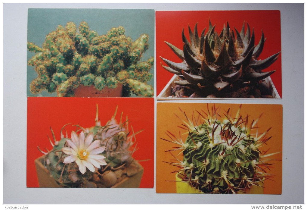 FLEURS / CACTUS . OLD  USSR PC Set  - 18 Postcards - 1990 - Cactussen