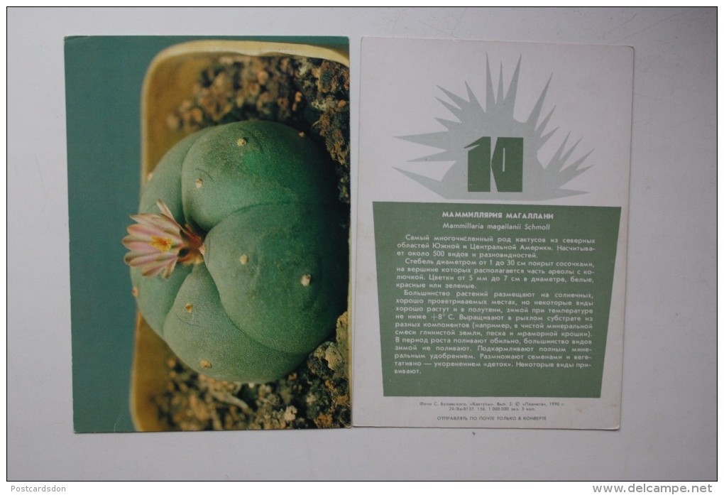 FLEURS / CACTUS . OLD  USSR PC Set  - 18 Postcards - 1990 - Cactusses