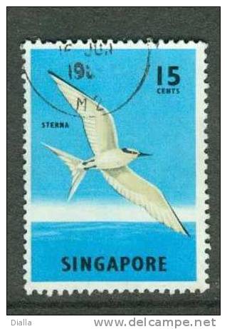 Singapore 1962-1968, Yv. 57B, Sterne Oiseau / Bird  Stern - Albatros & Stormvogels
