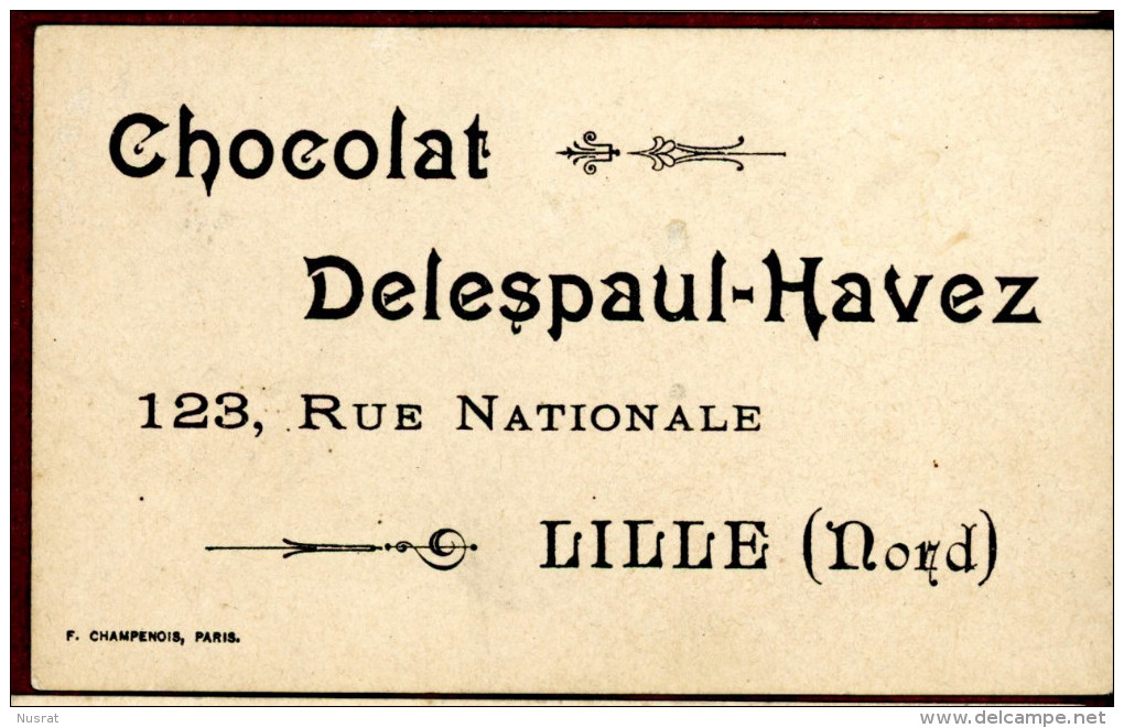 Chocolat Delespaul-Havez, Lille, Chromo Lith. Champenois TM36-38 Dessin à Colorier, Chasseur, Fusil - Autres & Non Classés