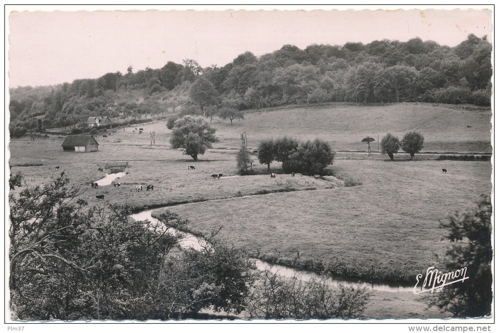 AUFFAY - Les Méandres De La Scie - Auffay