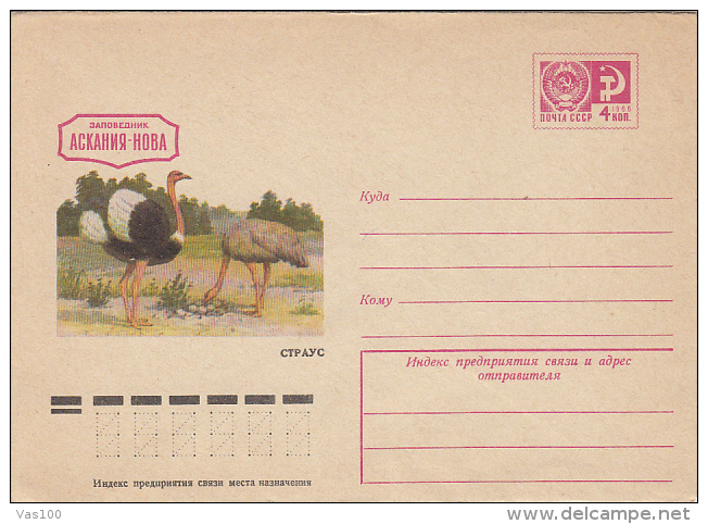 BIRDS, OSTRICHES, COVER STATIONERY, ENTIER POSTAL, 1975, RUSSIA - Autruches