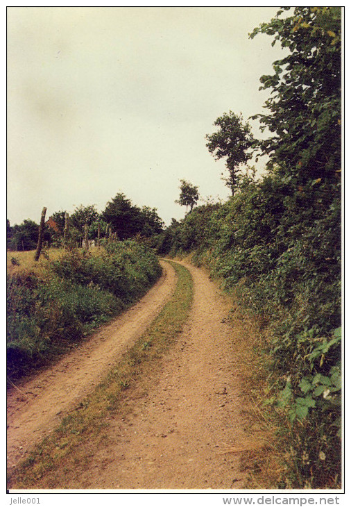 Meerhout Kanaalpad Holle Weg - Meerhout