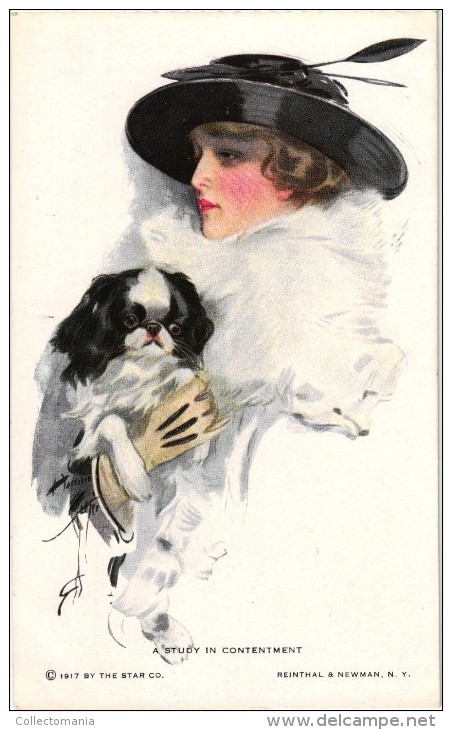 6 Postcards Harrison Fisher Glamour Woman With Dog Woman With Palette Painting Reading Beach Scene - Fisher, Harrison