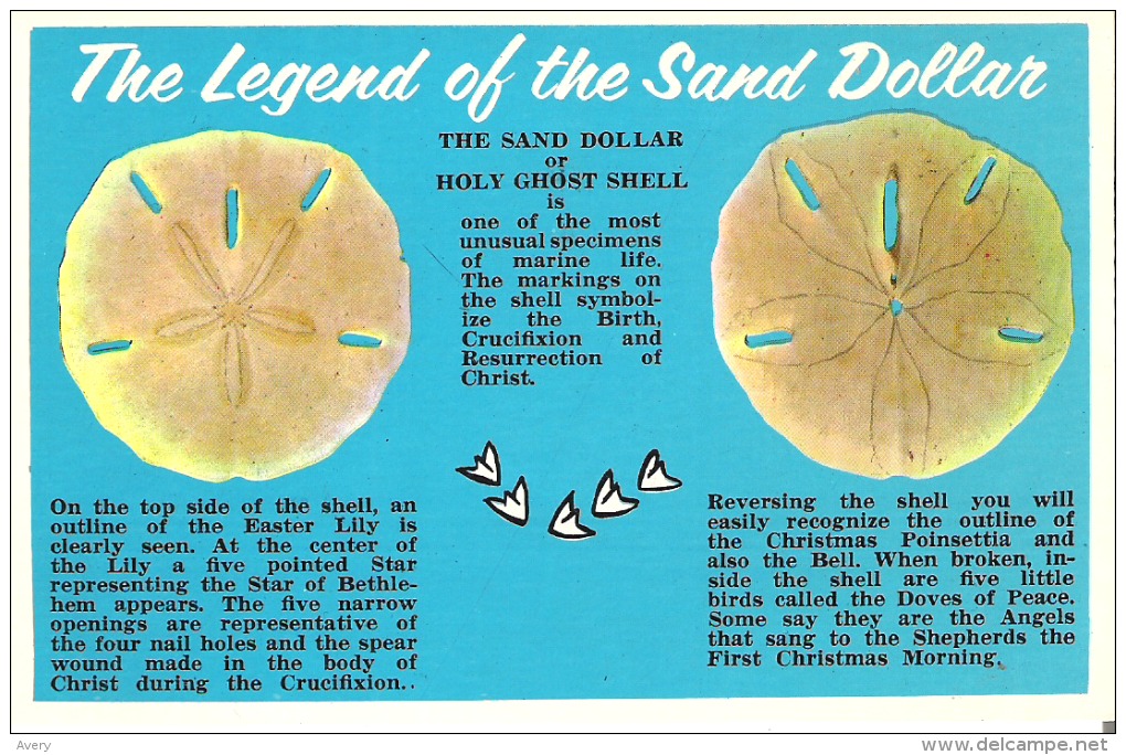 The Legend Of The Sand Dollar Or Holy Ghost Shell - Fairy Tales, Popular Stories & Legends