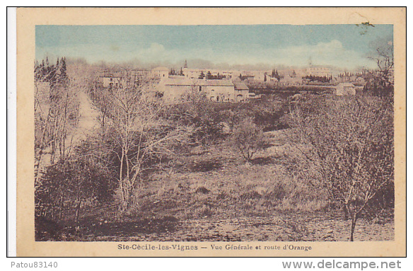 84. STE CECILE LES VIGNES.  VUE GENERALE ET ROUTE D ORANGE - Autres & Non Classés