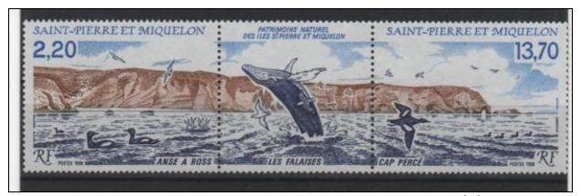 Saint Pierre Et Miquelon - Triptyque Avec Vignette Centrale - 495 A Neufs ** - MNH - Ongebruikt