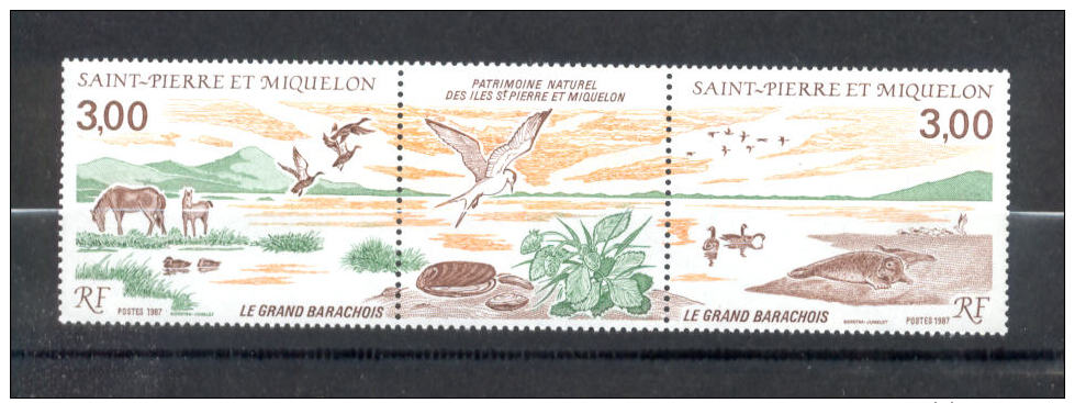 Saint Pierre Et Miquelon - Triptyque Avec Vignette Centrale - 485 A Neufs ** - MNH - Neufs