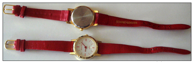 Montre Femme " Summer Time " Quartz  Bracelet Et Chiffres Romains Rouges - Fonctionne (voir Photos) - Watches: Jewels