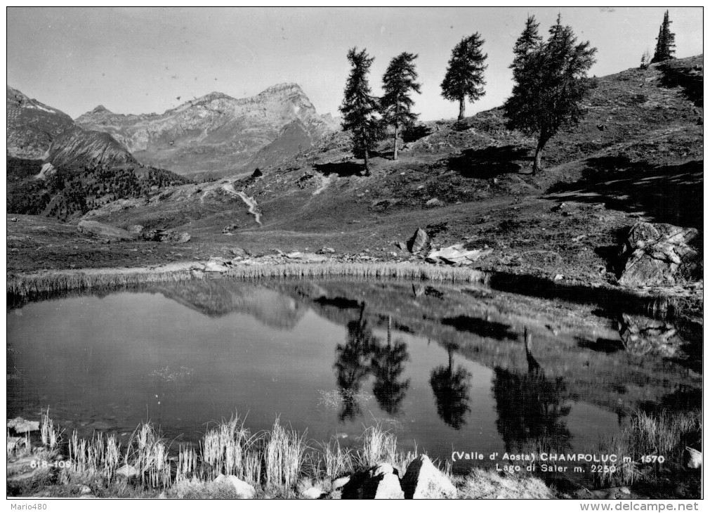 CHAMPOLUC   LAGO  DI  SALER        (VIAGGIATA) - Altri & Non Classificati