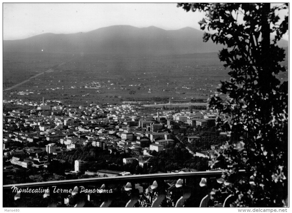 MONTECATINI  TERME   PANORAMA    (VIAGGIATA) - Altri & Non Classificati