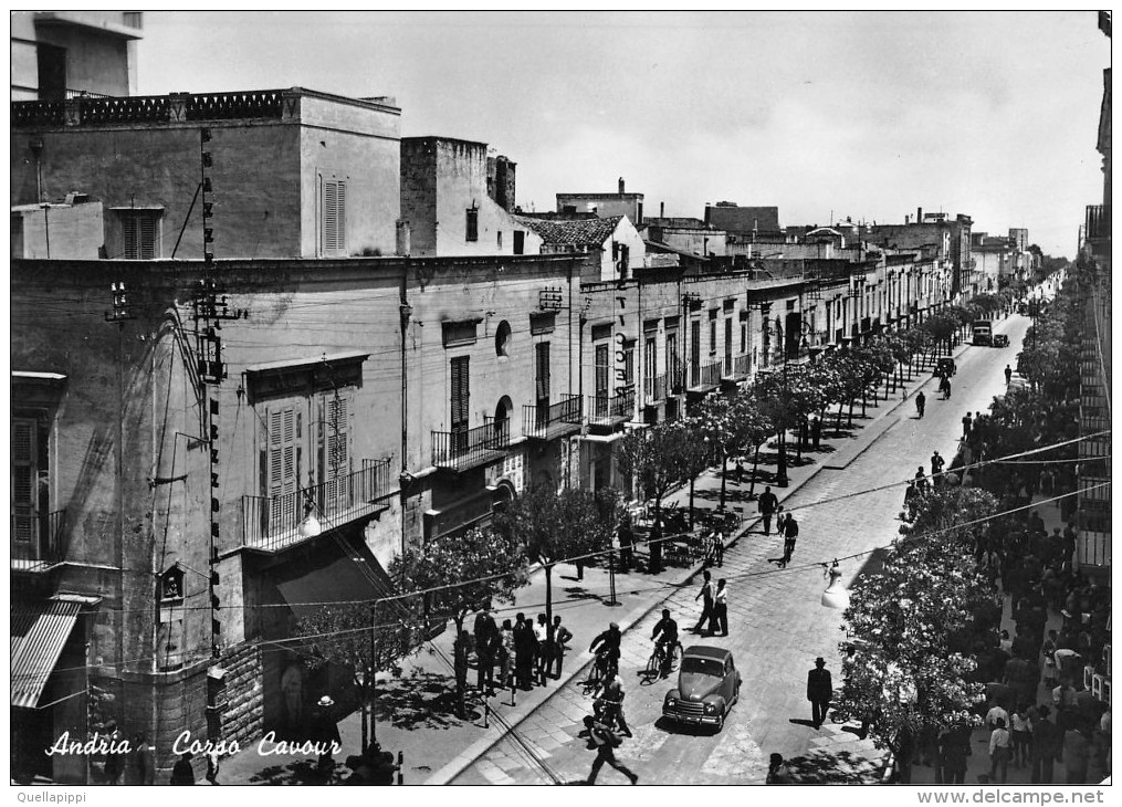 03564 "ANDRIA (BT) - CORSO CAVOUR". ANIMATA, AUTO '50, VERA FOTOGRAFIA. CART.  SPED. 1955 - Andria