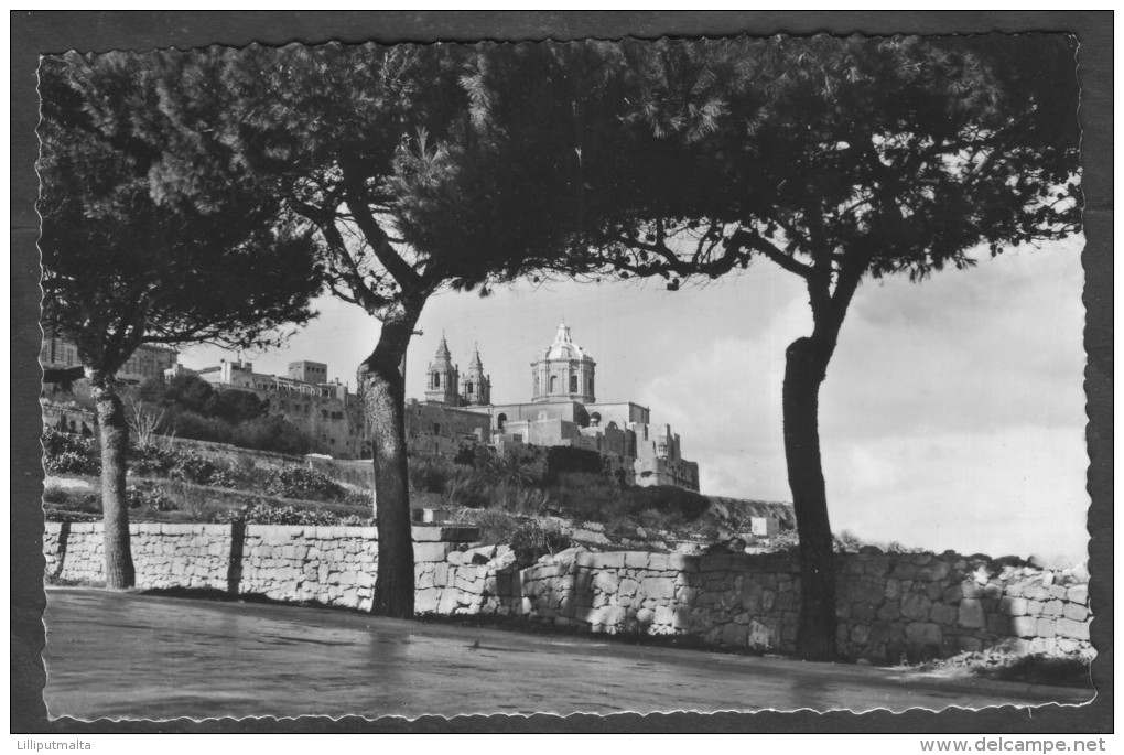 Old Malta Photo Postcard Circa 1960s Showing The Cathedral Mdina - Malta