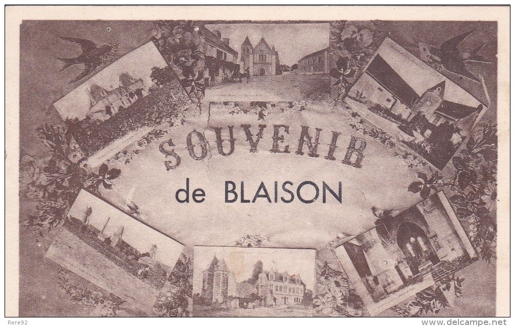 49 MAINE ET LOIRE   BLAISON GOHIER  Souvenir De Blaison Multi Vues - Autres & Non Classés