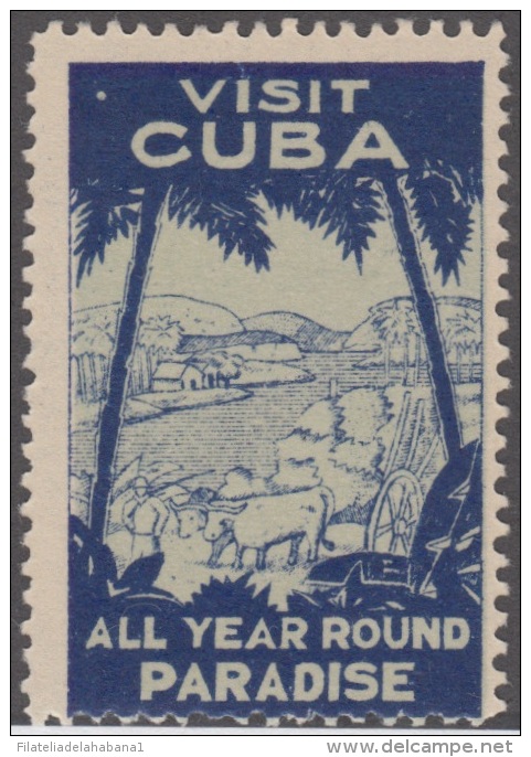 VI-62. CUBA. VIÑETA. VISIT CUBA ALL YEAR ROUND PARADISE. TURISMO. TOURISM. - Ongebruikt