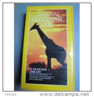 National Geographic : Cassette V H S , La Vie Sauvage Africaine (1990-60 Minutes-en Français) - Dokumentarfilme