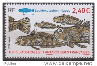 Antarctic.T.A.A.F.2014.Fish.MNH.22276 - Andere & Zonder Classificatie