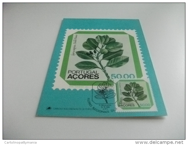 STORIA POSTALE FRANCOBOLLO COMMEMORATIVO MAXIMUM ACORES PORTOGALLO PIANTE LAURUS AZORICA SEUB. FRANCO ALLORO - Trees