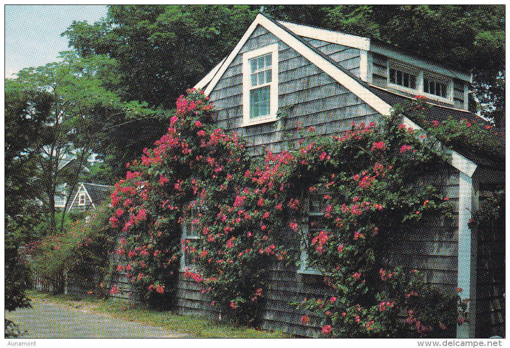 Estados Unidos--Massachusetts--Nantucket-----A,Francia - Nantucket