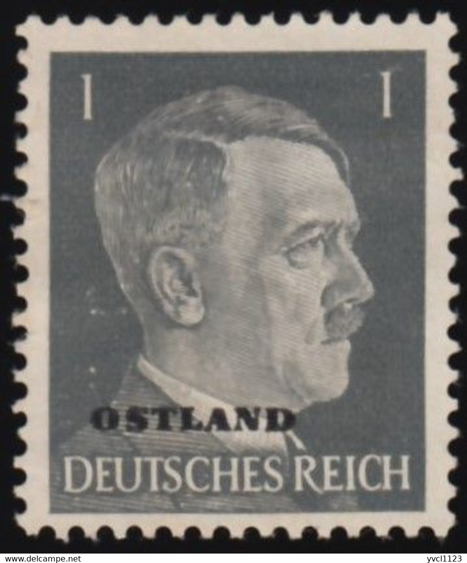 RUSSIA German Occupation - Scott #N21 Hitler 'Overprinted' (*) / Mint NG Stamp - 1941-43 Occupation: Germany