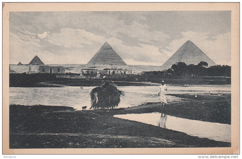 Egypte - Pyramids Of Giza  - Scan  Recto-verso - Gizeh