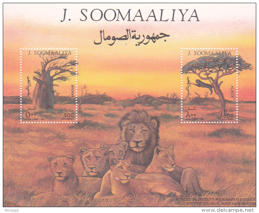 Somalia 1994 Lions Miniature Sheet MNH - Somalia (1960-...)