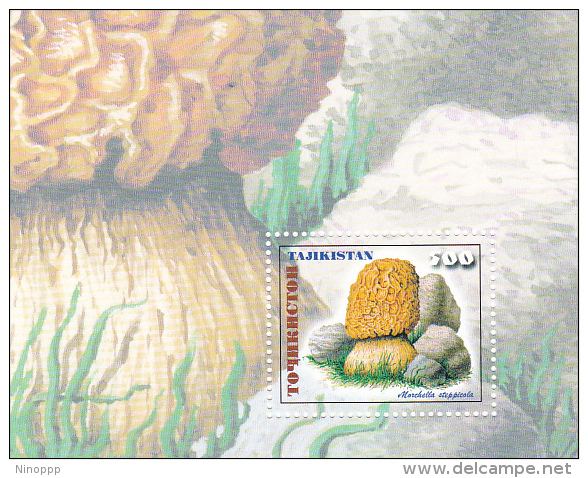 Tajikistan 1996 Mushrooms Miniature Sheet MNH - Tadschikistan