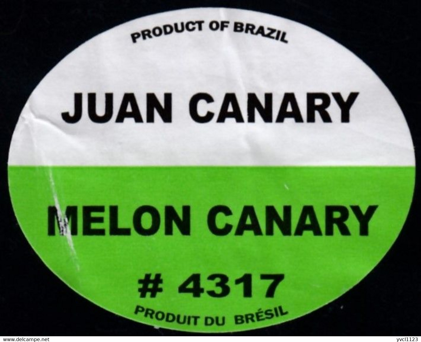 Fruits &amp; Vegetables - Melon Canary, Produce Of Brazil (FL4317) - Fruits Et Légumes