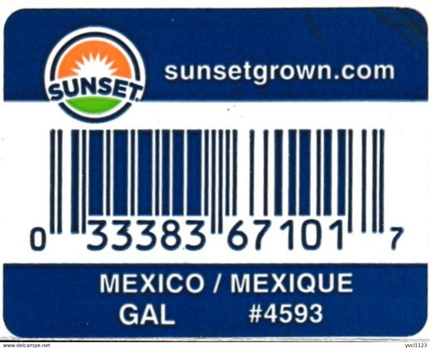 Fruits &amp; Vegetables - Orange Sunset, Produce Of Mexico (FL4593) - Fruits Et Légumes