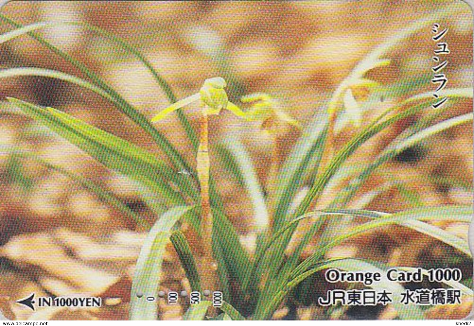 Carte Orange Japon - FLEUR ORCHIDEE- ORCHID Flower Japan Prepaid Card - BLUME JR Karte - ORQUIDEA - 1865 - Fleurs