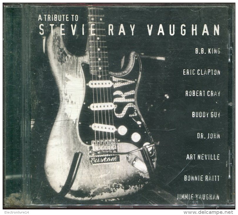 Dvd  A Tribute To Stevie Ray Vaughan - Rock