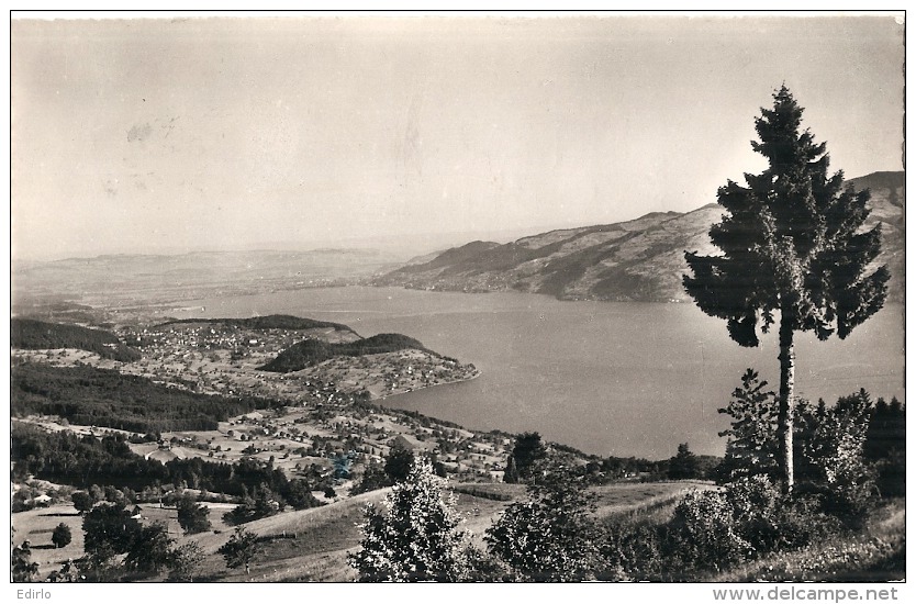 BE - AESCHI Allmend Blick Auf Thunersee - Timbrée TTB - Aeschi Bei Spiez