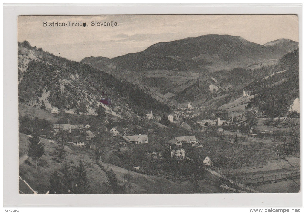 TRZIC - BISTRICA - Slovenia , Old Postcard , J.NADIŠAR - Slovenia