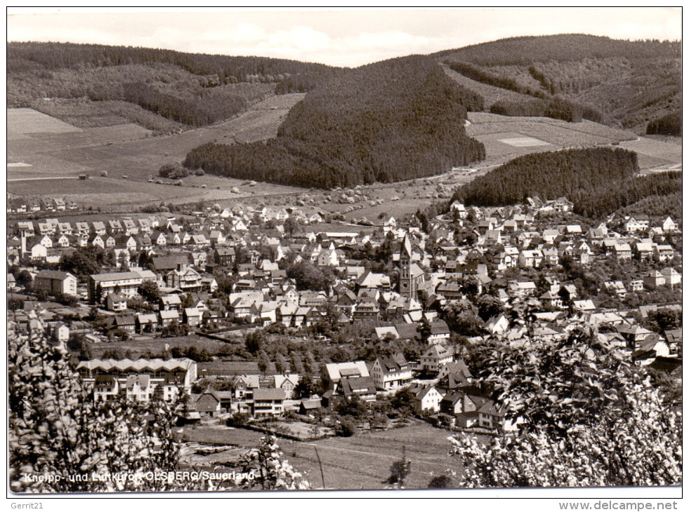 5787 OLSBERG, Panorama - Meschede