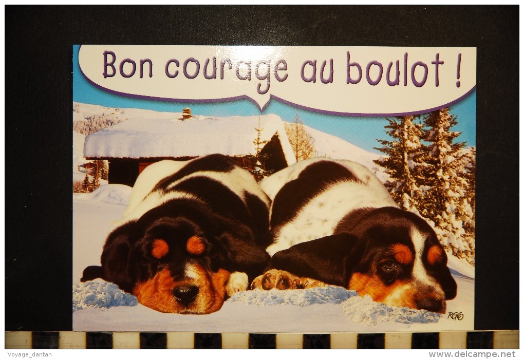 CP, Animaux, CHIEN  Bon Courage Au Boulot    Image De Montagne - Chiens