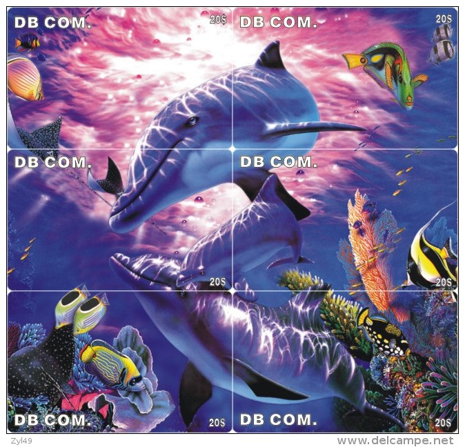 D04011 China Phone Cards Dolphin Puzzle 54pcs - Delfines