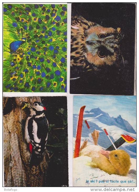 8 CPM OISEAUX DIVERS - 5 - 99 Postales