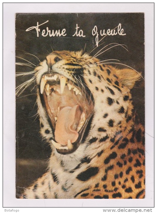 CPM FERME TA GUEULE - Tiger