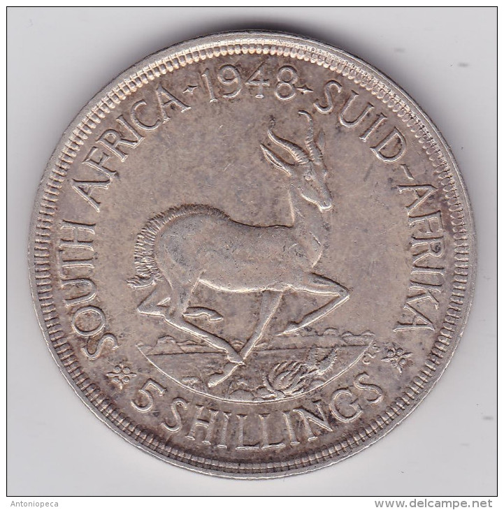 SUDAFRICA 1948 Giorgio VI 5 Shillings Argento FDC Peso 27 Gr - Sud Africa