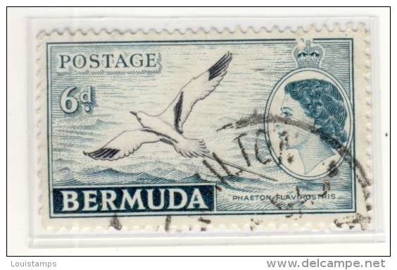 Bermuda - Mi.Nr. BE - 141 - 1953 . Refb3 - 1858-1960 Colonie Britannique