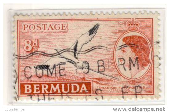 Bermuda - Mi.Nr. BE - 142 - 1953 . Refb3 - 1858-1960 Colonie Britannique