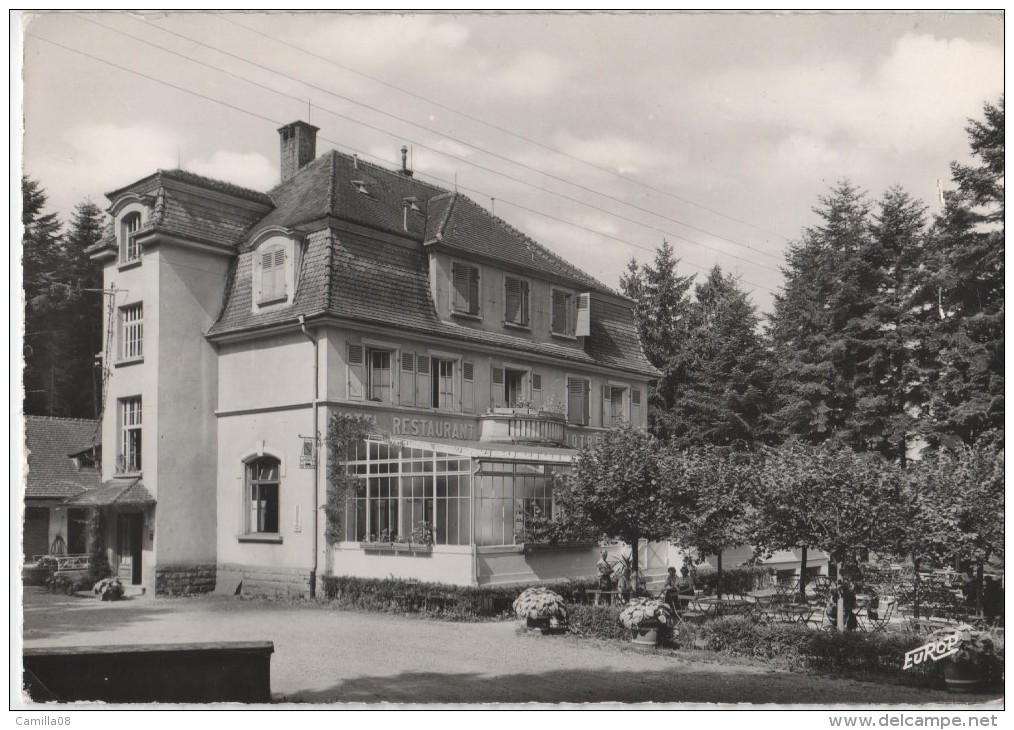 BONNE FONTAINE  PAR PHALSBOURG.HOTEL RESTAURANT.NOTRE DAME - Autres & Non Classés