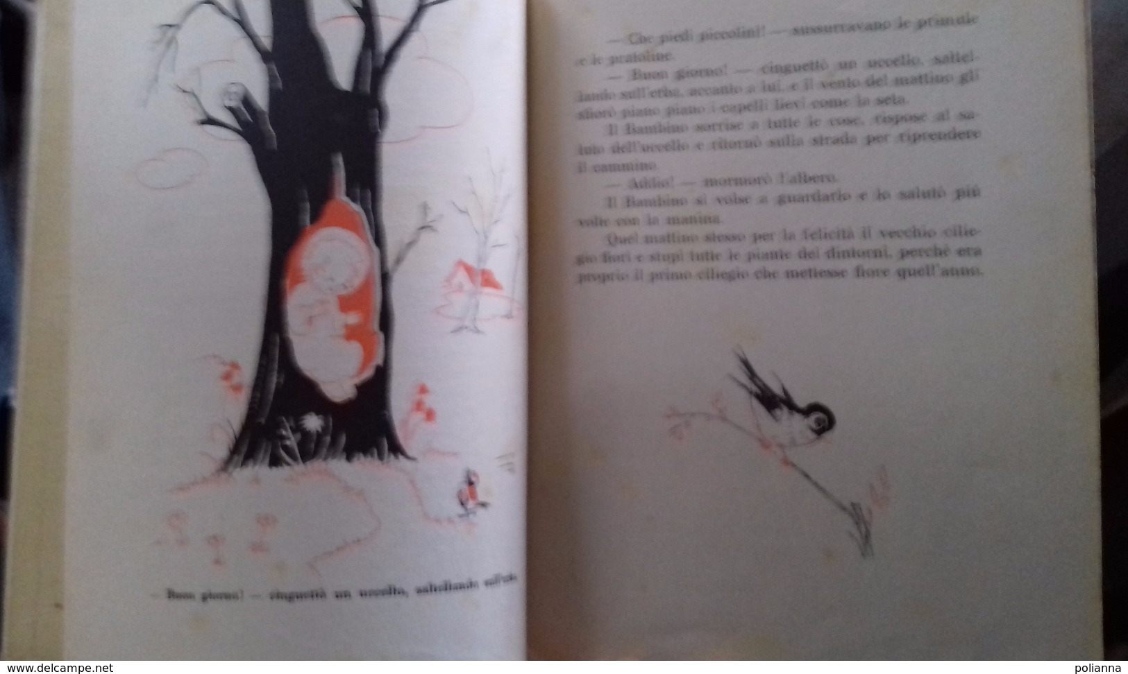 M#0M27 Graziella Aimone IL BAMBINO CHE VOLLE CAMMINARE Ed.La Scuola/illustrazioni GIANNA TESI - Anciens