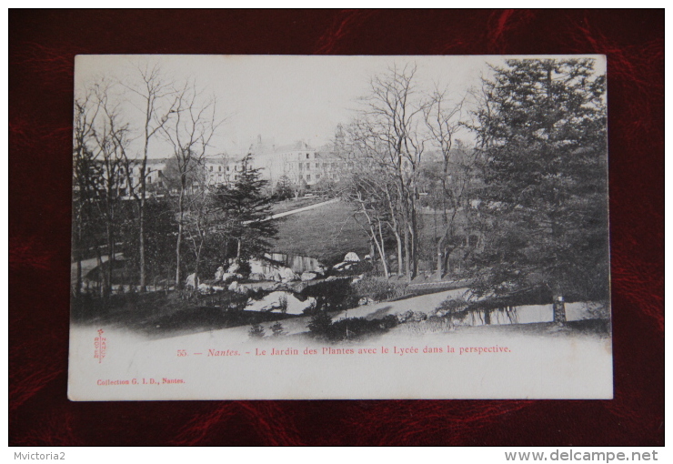 NANTES - Le Jardin Des Plantes Avec Le Lycée Dans La Perspective - Nantes