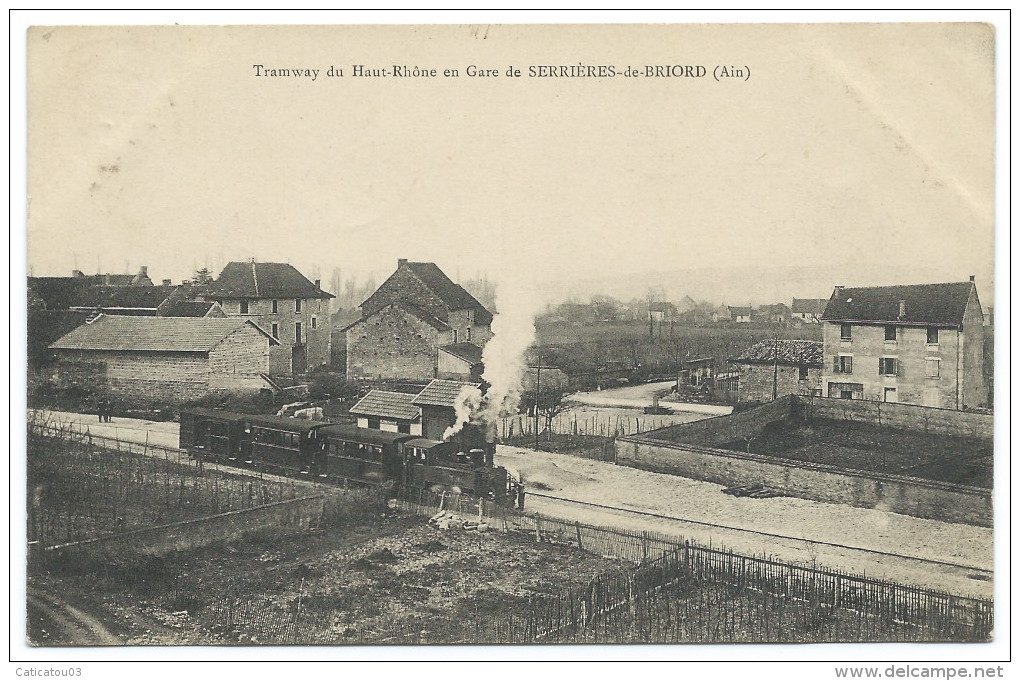 SERRIÈRES-de-BRIORD (Ain) Tramway à Vapeur Entrant En Gare - Unclassified