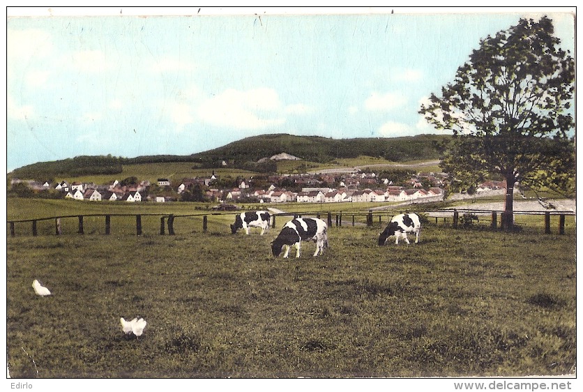 BORGHOLZHAUSEN  Timbre Décollé - Guetersloh