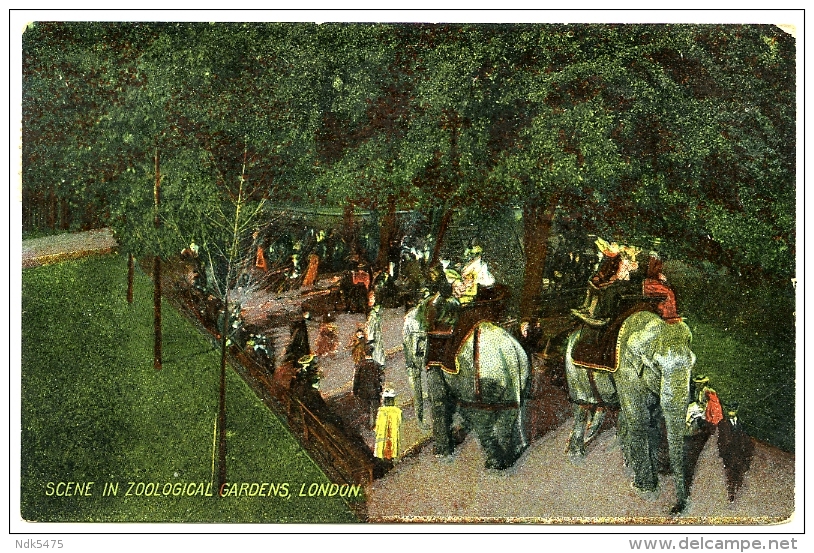 LONDON : SCENE IN ZOOOGICAL GARDENS / ELEPHANTS  / POSTMARK & ADDRESS - WALTHAMSTOW, BROOKFIELD AVENUE, ST JOHN'S ROAD - Elephants