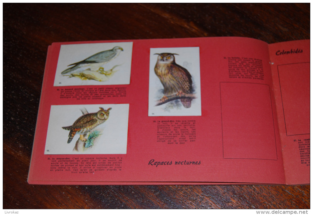 Album Collecteur D'images, Oiseaux De Nos Pays, Vache Grosjean 1960, Lons Le Saunier, EXCELLENT ÉTAT COMME NEUF 24 Pages - Sammelbilderalben & Katalogue